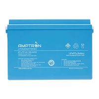 AMPTRON 24V 100Ah LiFePO4 Battery